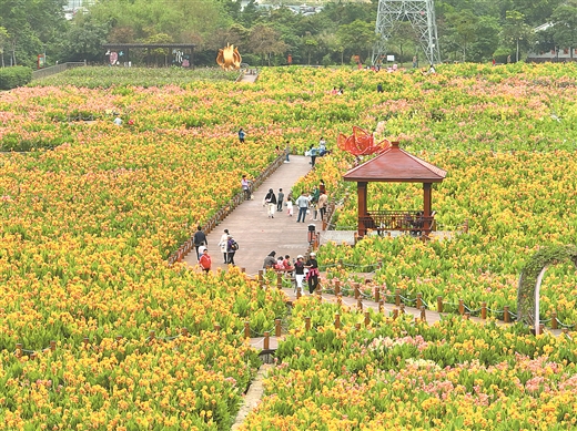 春暖花開 景色宜人