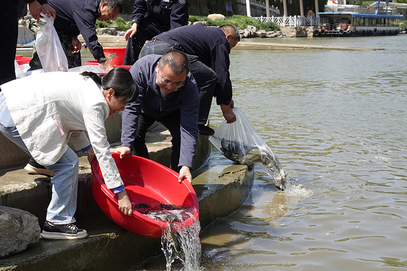 阳朔启动2023年禁渔期专项执法行动月活动