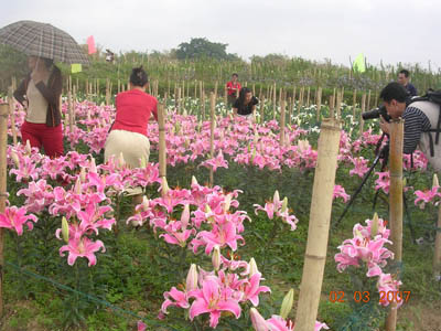 新华网-西乡塘区网站