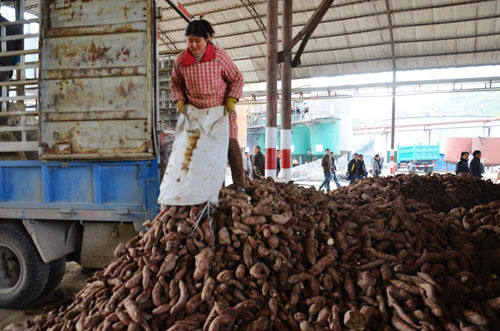 新华网-罗城县网站