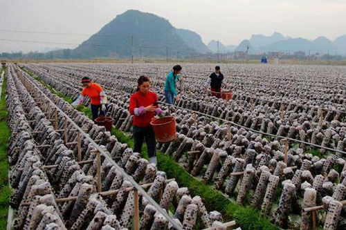 新华网广西频道--图片总汇--图说新闻