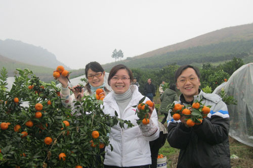 新华网-宜州市网站