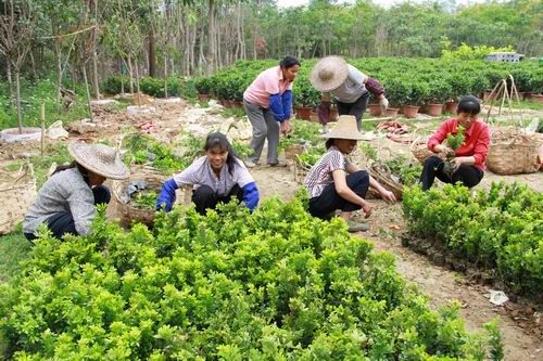 新华网-容县网站