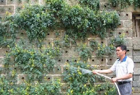 新华网-靖西县网站