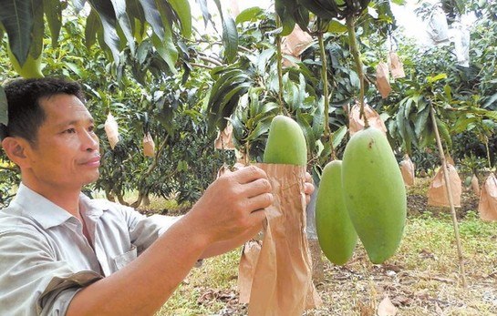 新华网-龙州县网站