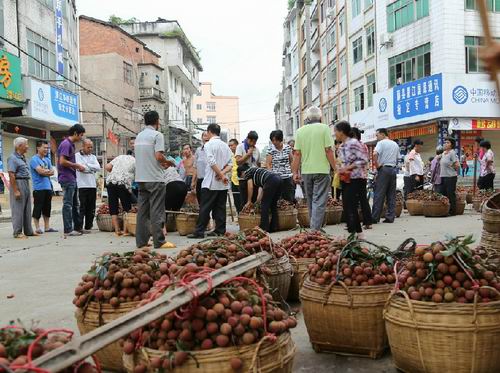新华网-梧州市网站