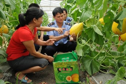 新华网-来宾市网站