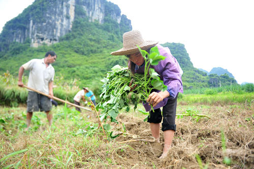 新华网-罗城县网站