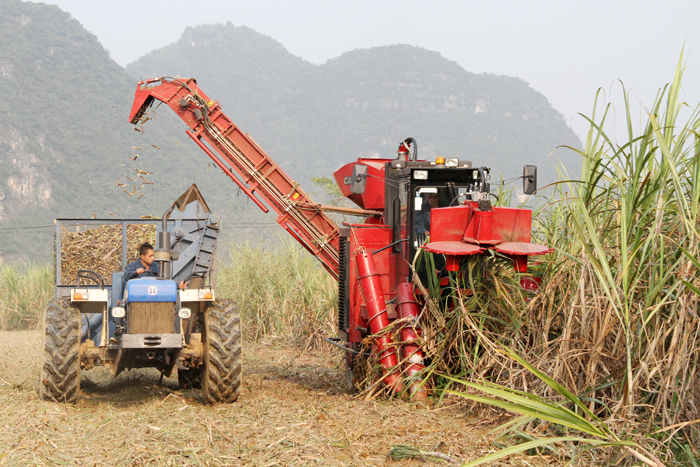 新华网-大新县网站