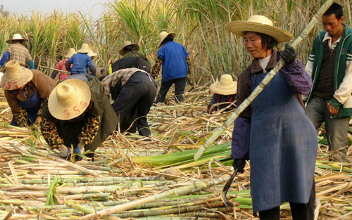 新华网-来宾市网站